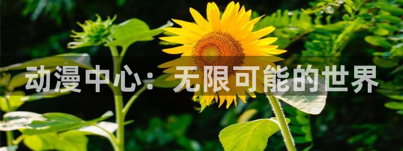 涩里番动漫免费网站：动漫中心：无限可能的世界