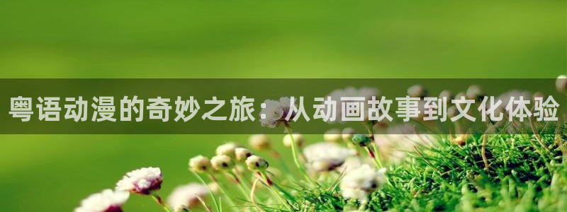 穿越里番动漫：粤语动漫的奇妙之旅：从动画故事到文化体验