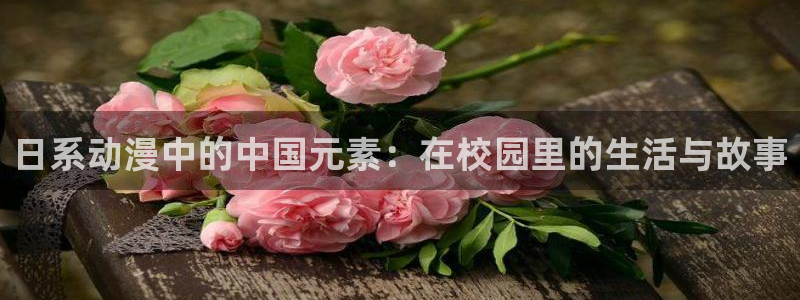 里番动漫网站免费