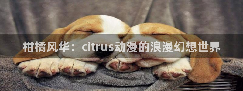 里番动漫官网：柑橘风华：citrus动漫的浪漫幻想世界