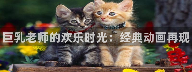 里番动漫电影网：巨乳老师的欢乐时光：经典动画再现
